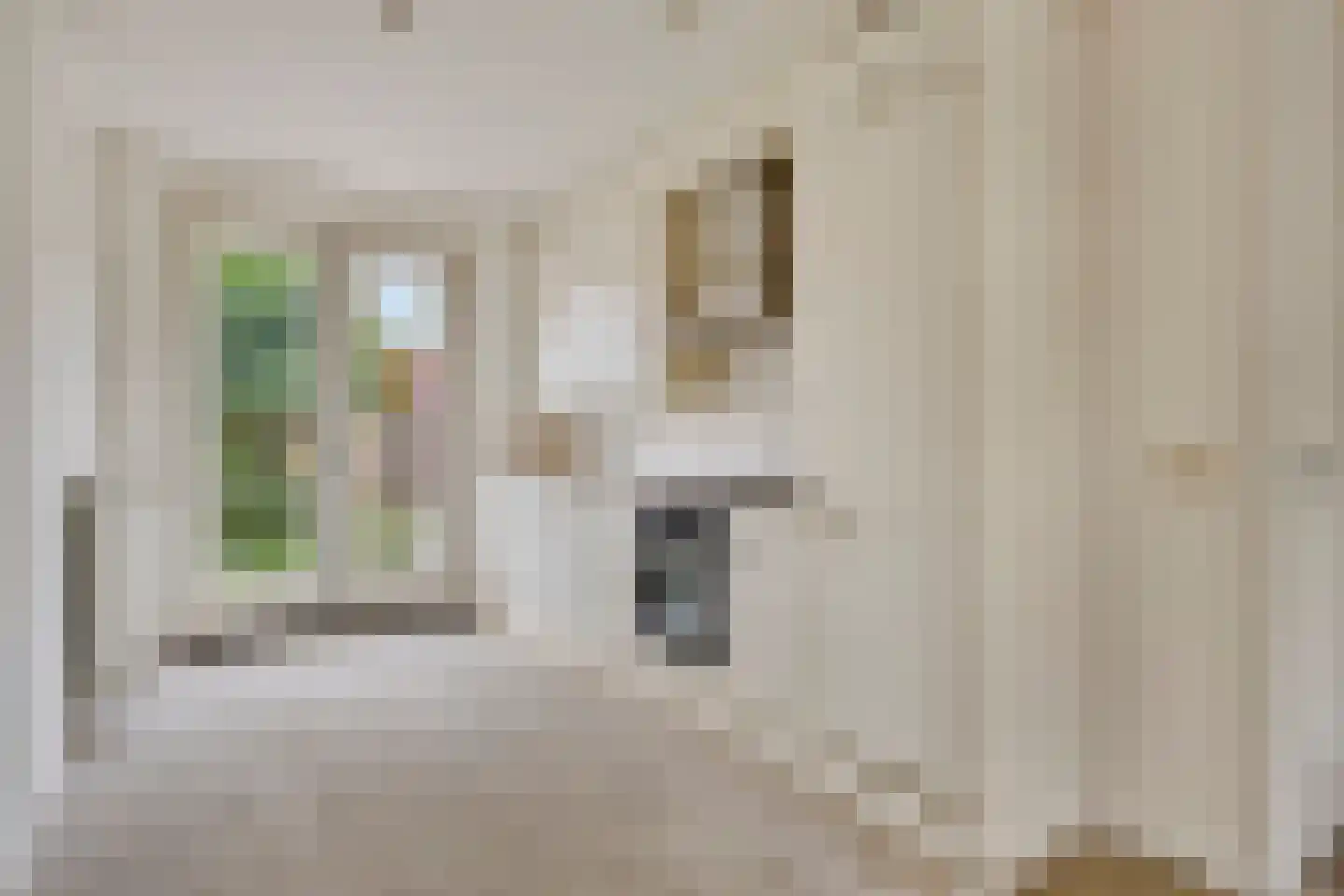 Frankhuizerallee 132 Zwolle thumbnail 28