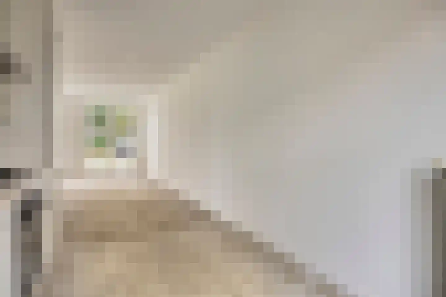 Frankhuizerallee 132 Zwolle thumbnail 30