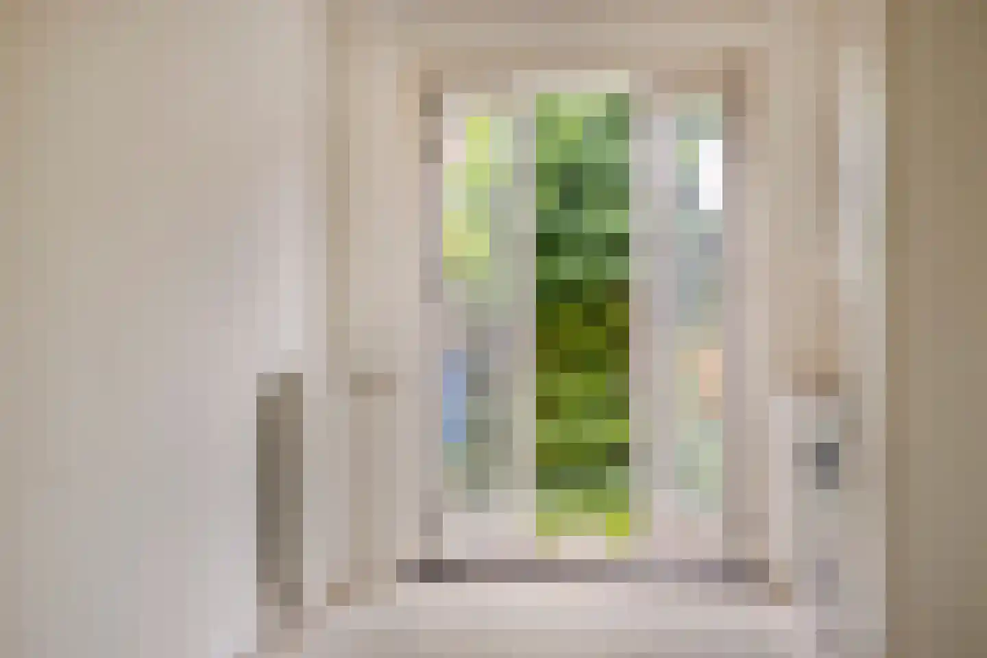 Frankhuizerallee 132 Zwolle thumbnail 31