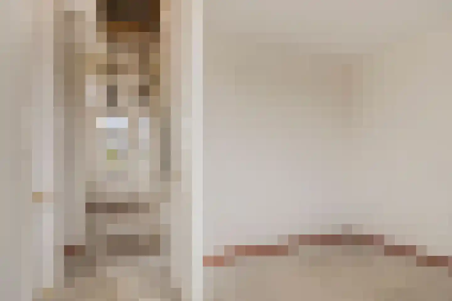 Frankhuizerallee 132 Zwolle thumbnail 44