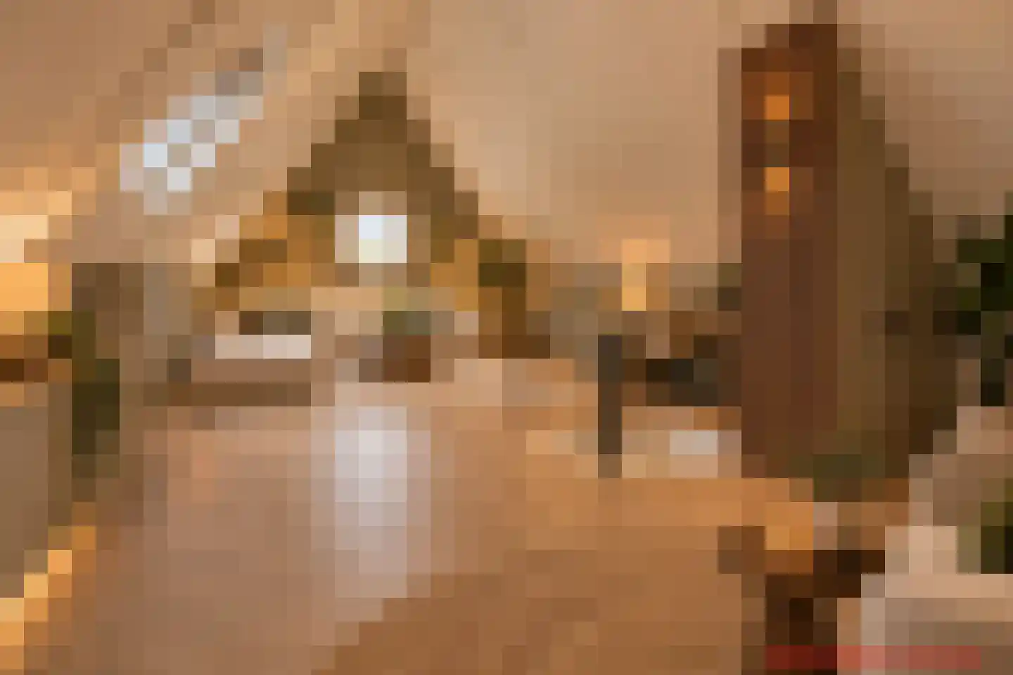 Frankhuizerallee 132 Zwolle thumbnail 46