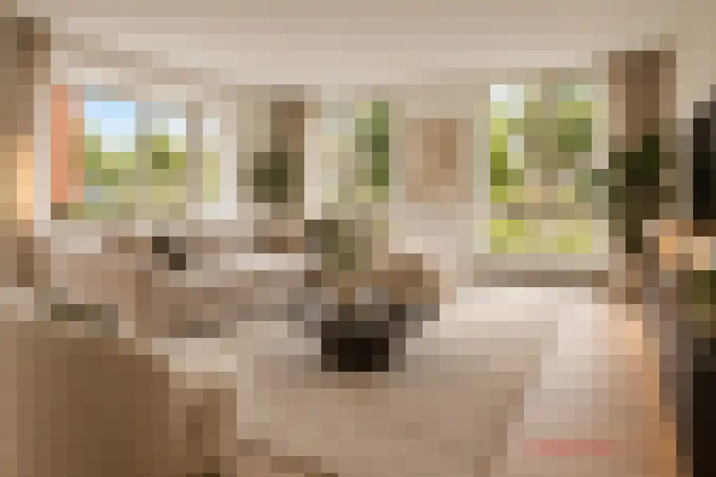 Frankhuizerallee 132 Zwolle thumbnail 9