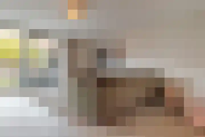 Frankhuizerallee 134 Zwolle thumbnail 11