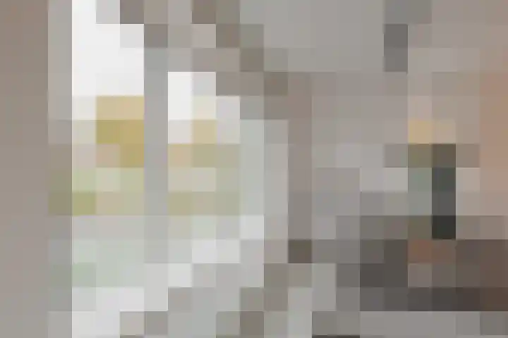 Frankhuizerallee 134 Zwolle thumbnail 18