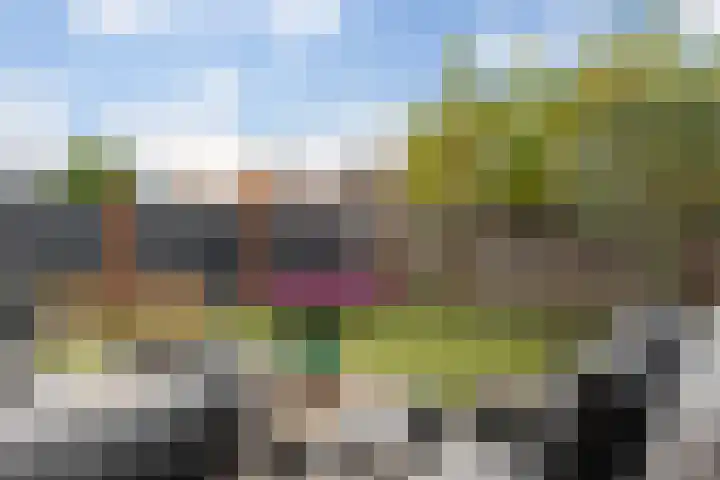 Frankhuizerallee 134 Zwolle thumbnail 23