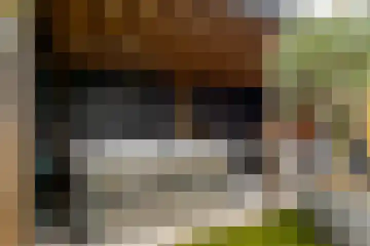 Frankhuizerallee 134 Zwolle thumbnail 25