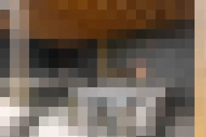 Frankhuizerallee 134 Zwolle thumbnail 26