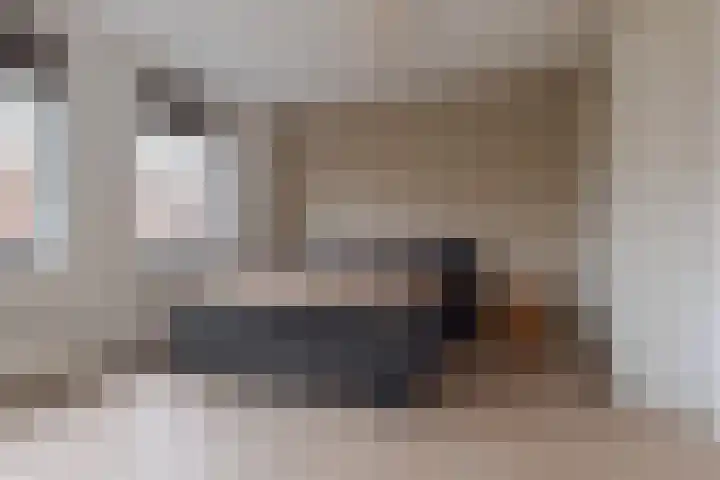 Frankhuizerallee 134 Zwolle thumbnail 31