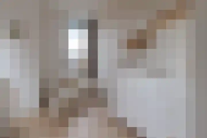 Frankhuizerallee 134 Zwolle thumbnail 34