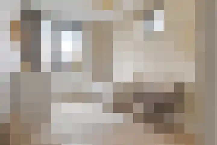 Frankhuizerallee 134 Zwolle thumbnail 37