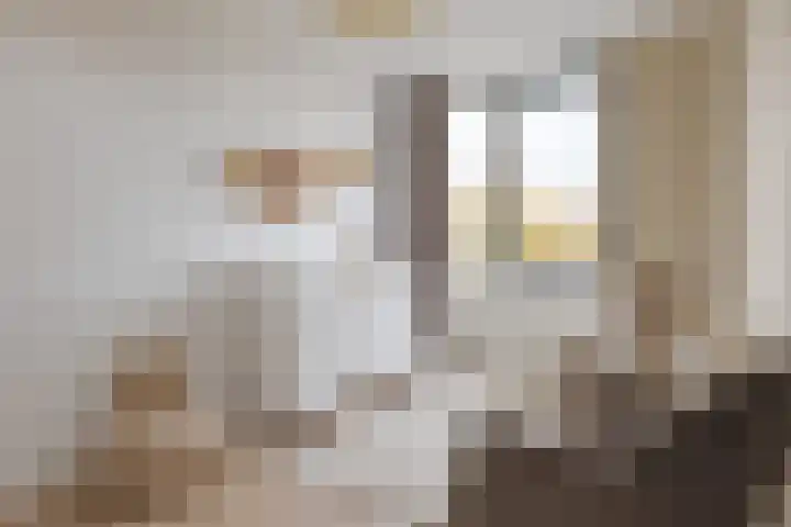 Frankhuizerallee 134 Zwolle thumbnail 38