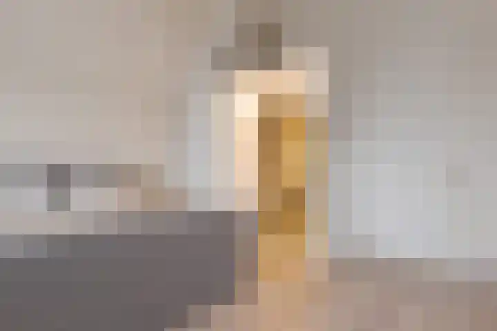 Frankhuizerallee 134 Zwolle thumbnail 48