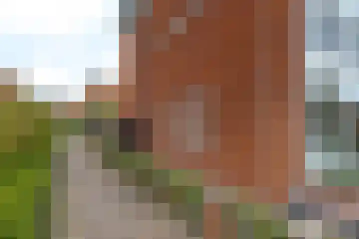 Frankhuizerallee 134 Zwolle thumbnail 59