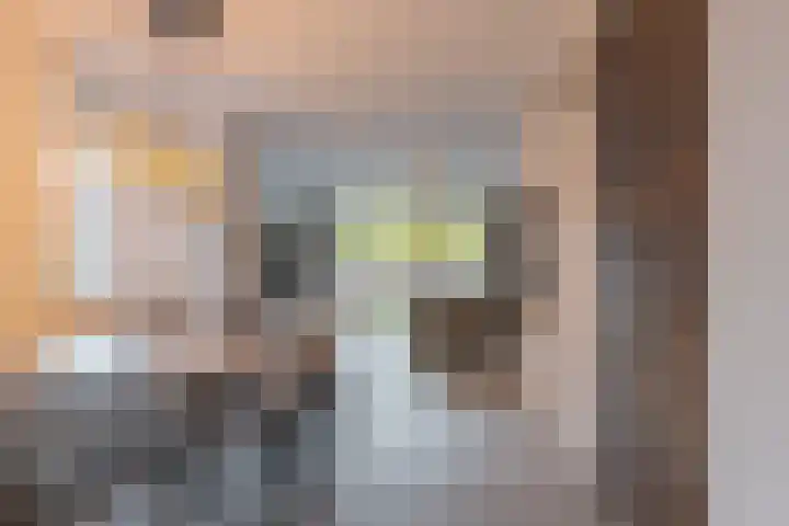 Frankhuizerallee 134 Zwolle thumbnail 8