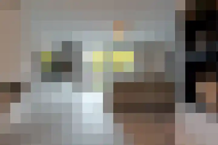 Frankhuizerallee 134 Zwolle thumbnail 9
