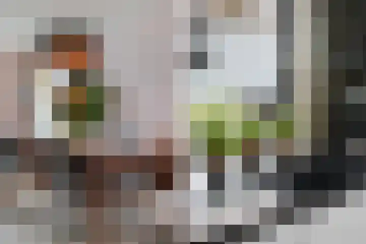 Frankhuizerallee 146 Zwolle thumbnail 13