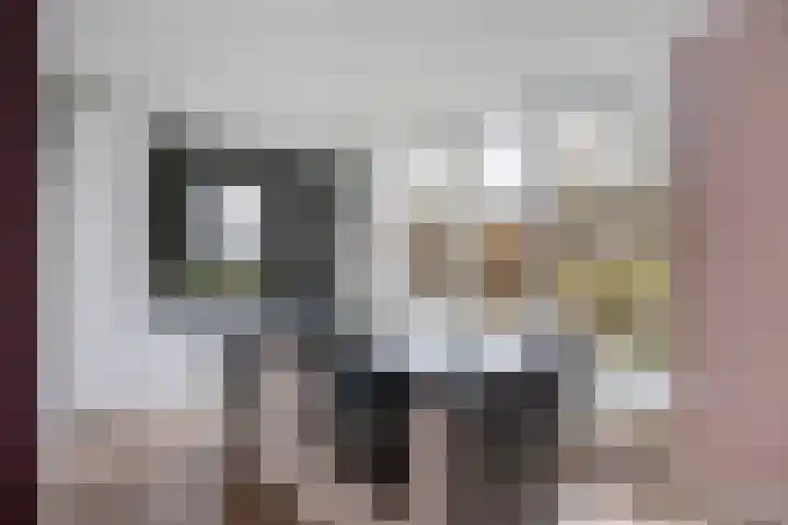 Frankhuizerallee 146 Zwolle thumbnail 14