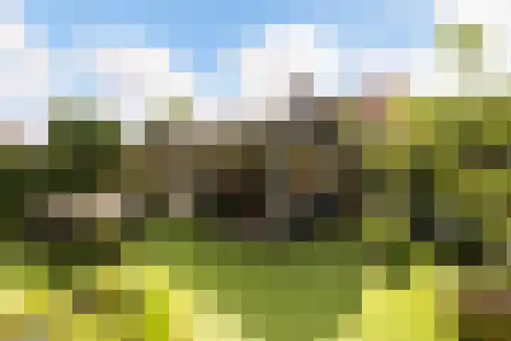 Frankhuizerallee 146 Zwolle thumbnail 17