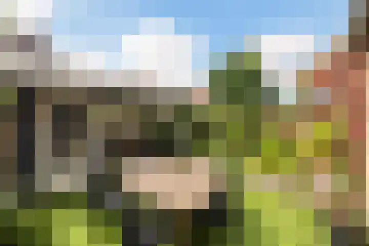 Frankhuizerallee 146 Zwolle thumbnail 18