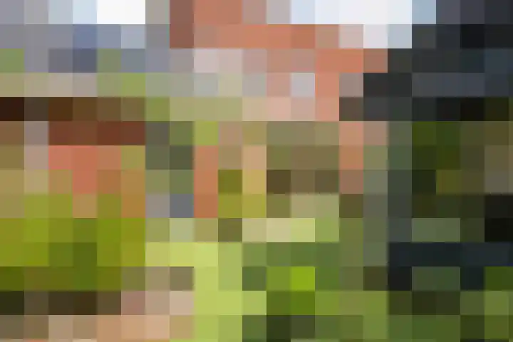 Frankhuizerallee 146 Zwolle thumbnail 20