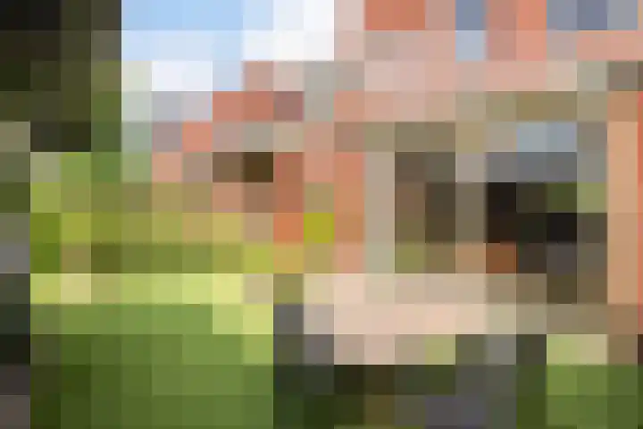 Frankhuizerallee 146 Zwolle thumbnail 21