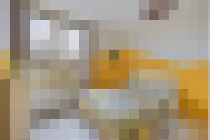 Frankhuizerallee 146 Zwolle thumbnail 31