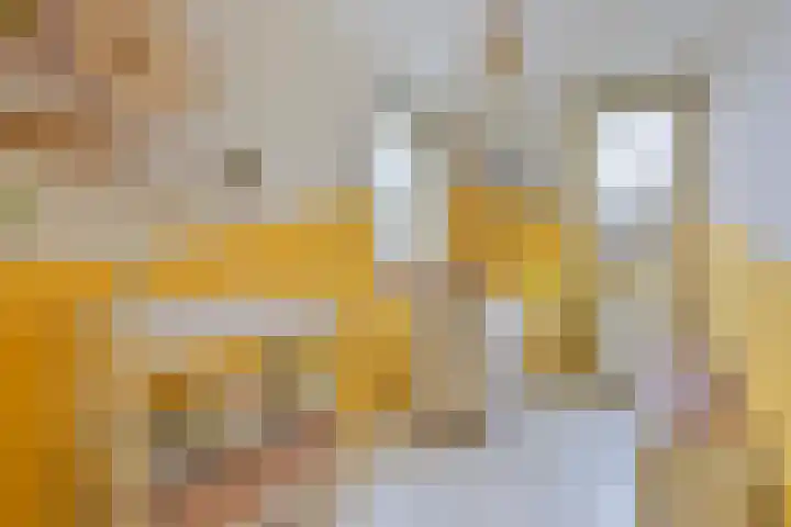 Frankhuizerallee 146 Zwolle thumbnail 34