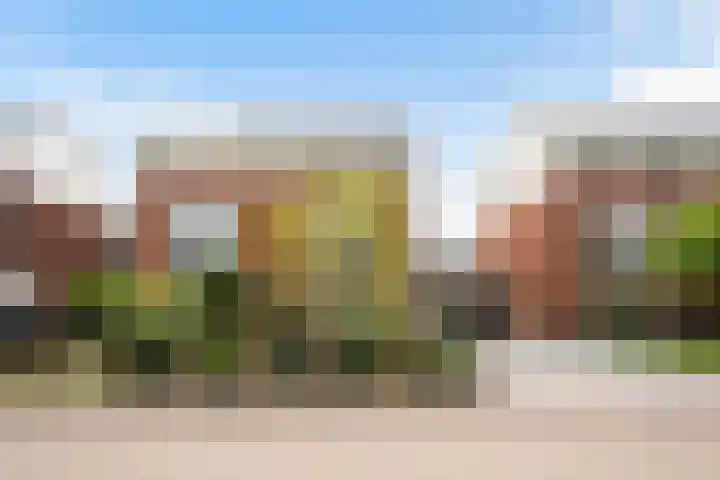Frankhuizerallee 146 Zwolle thumbnail 4