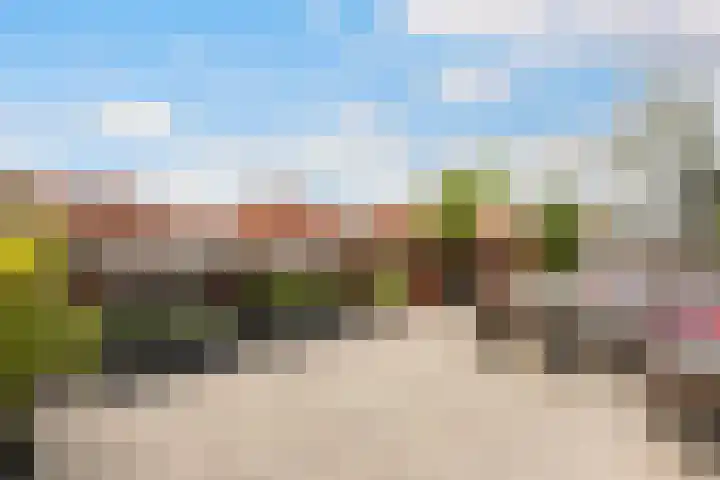 Frankhuizerallee 146 Zwolle thumbnail 43