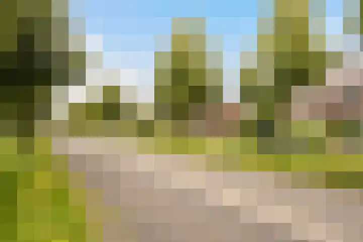 Frankhuizerallee 146 Zwolle thumbnail 49