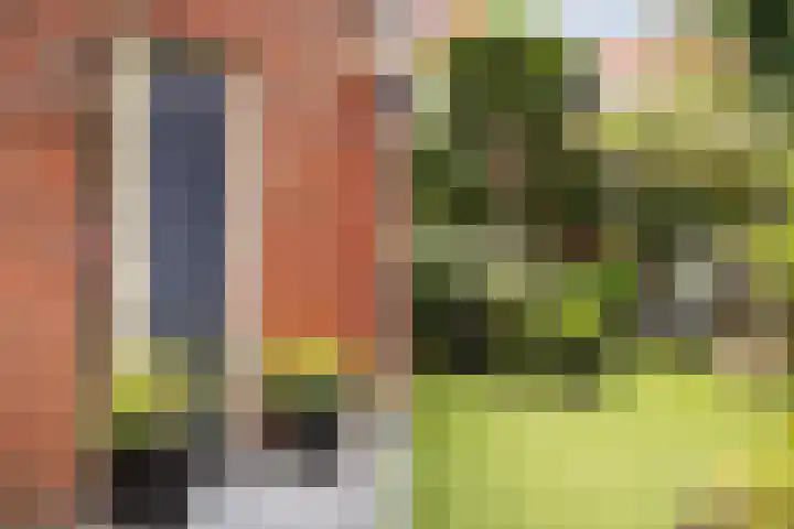 Frankhuizerallee 146 Zwolle thumbnail 7
