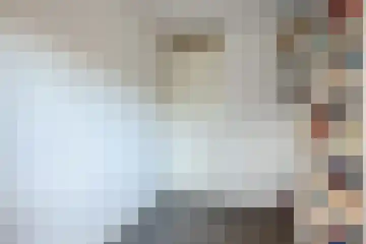 Frankhuizerallee 190 Zwolle thumbnail 20