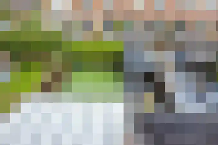 Frankhuizerallee 190 Zwolle thumbnail 37