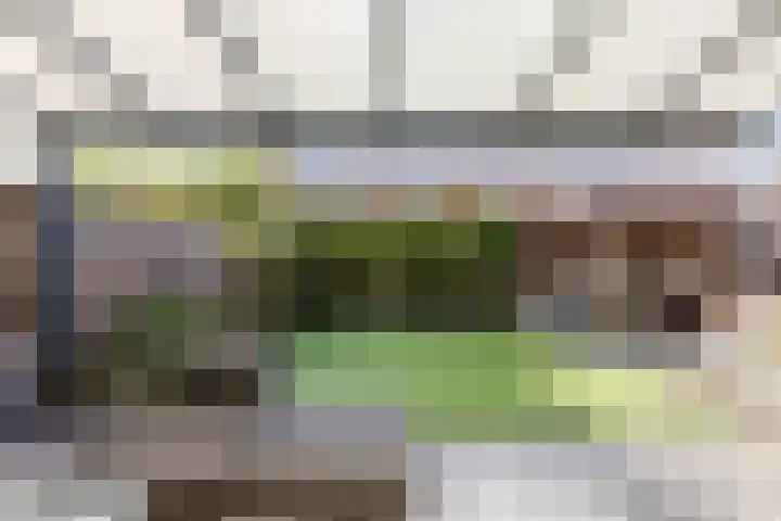 Frankhuizerallee 190 Zwolle thumbnail 38