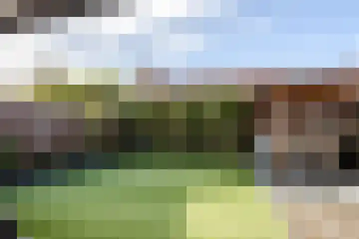 Frankhuizerallee 190 Zwolle thumbnail 39