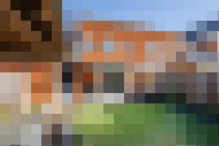 Frankhuizerallee 190 Zwolle thumbnail 41