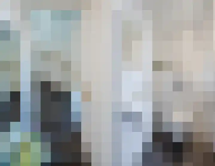 Frankhuizerallee 190 Zwolle thumbnail 8