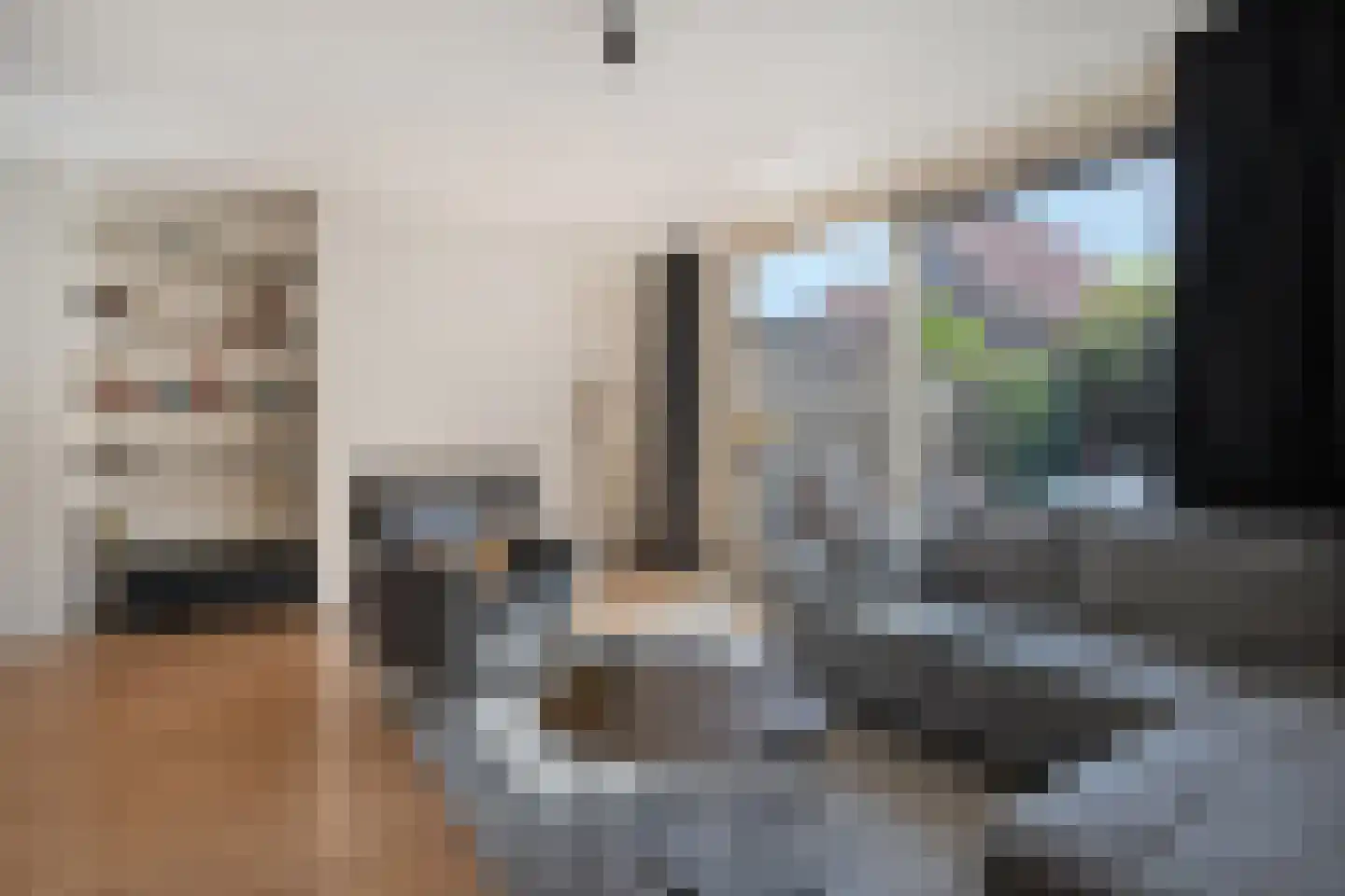 Frankhuizerallee 206 Zwolle thumbnail 12