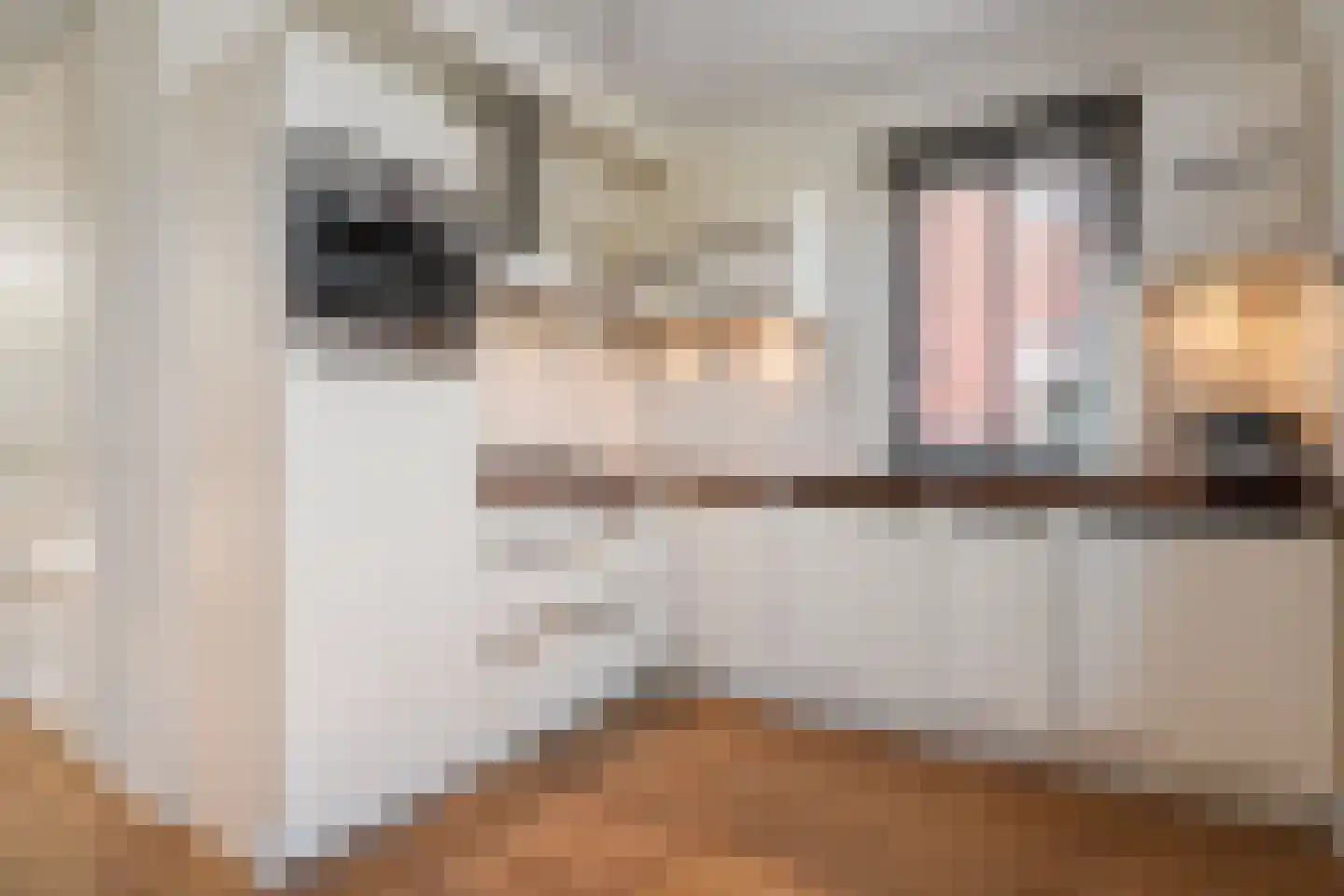 Frankhuizerallee 206 Zwolle thumbnail 18