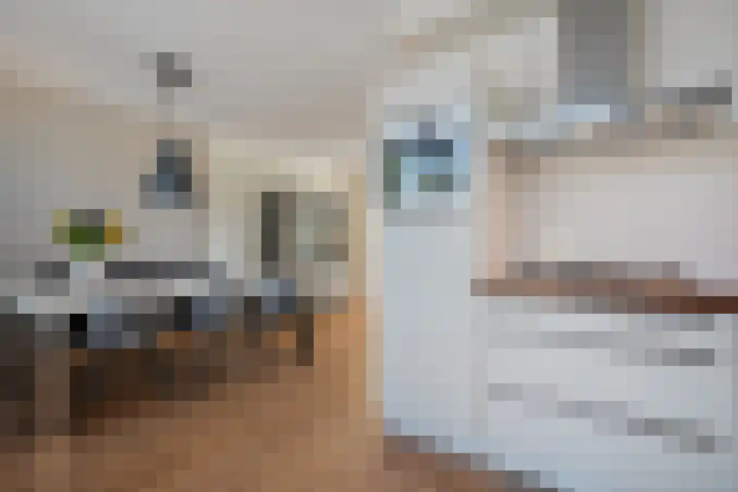 Frankhuizerallee 206 Zwolle thumbnail 19