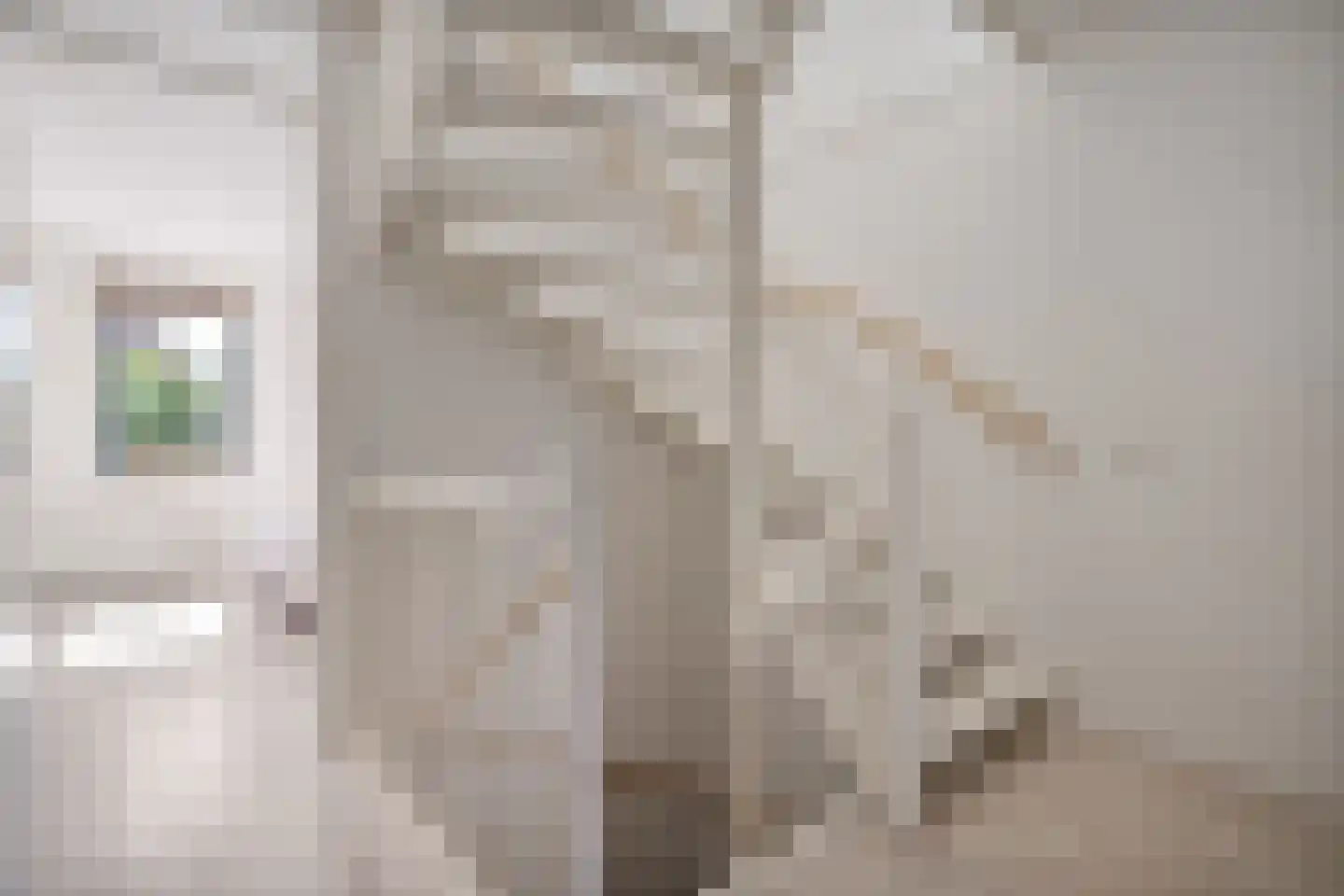 Frankhuizerallee 206 Zwolle thumbnail 21