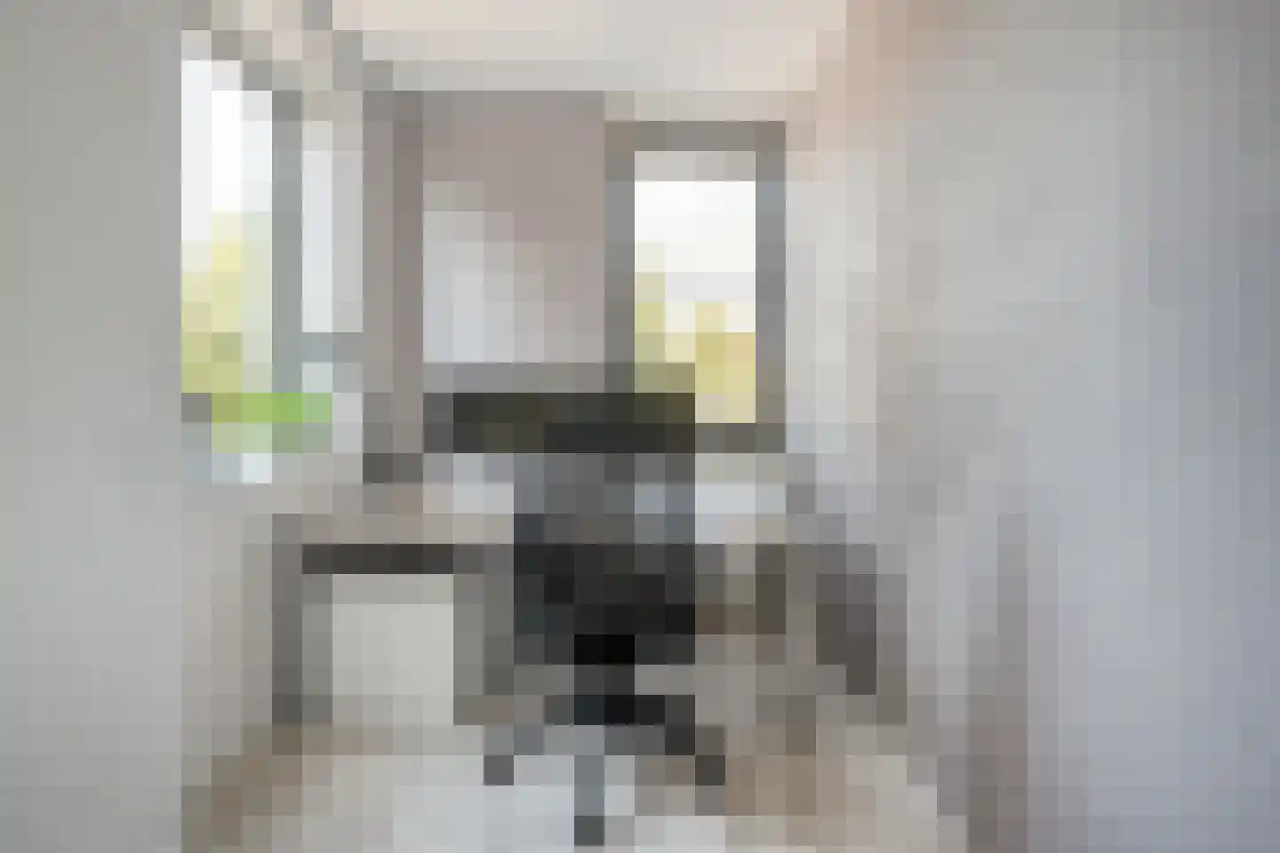 Frankhuizerallee 206 Zwolle thumbnail 28