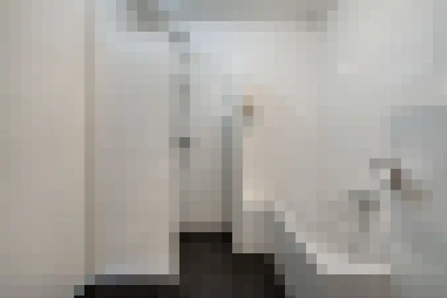 Frankhuizerallee 206 Zwolle thumbnail 31