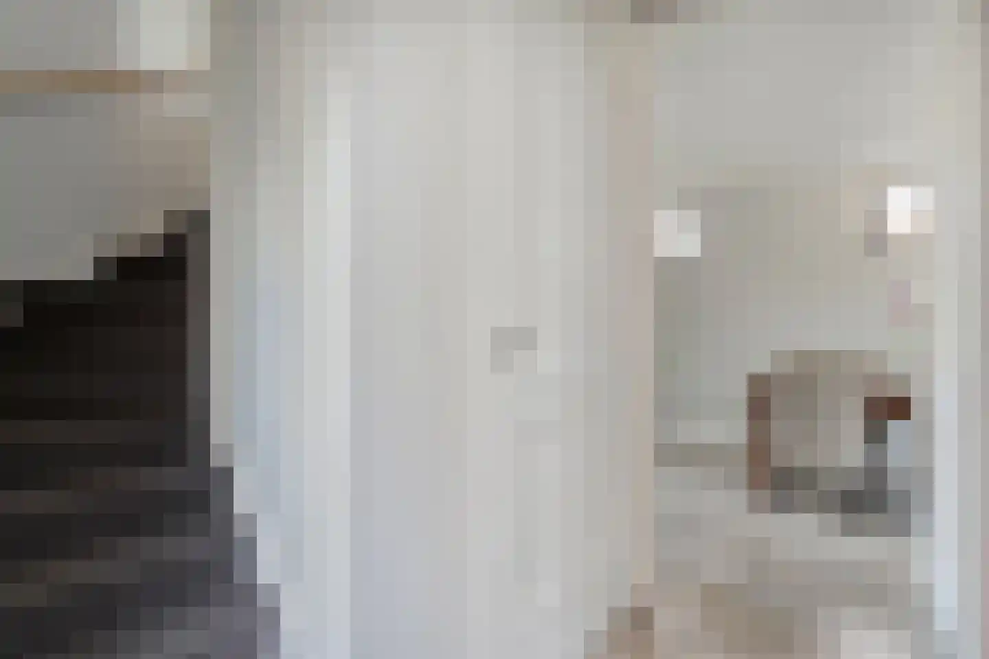 Frankhuizerallee 208 Zwolle thumbnail 15