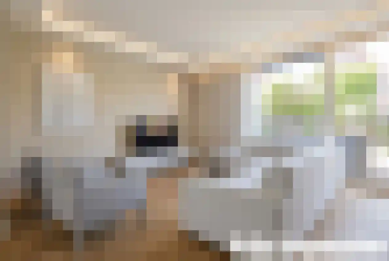 Frankhuizerallee 208 Zwolle thumbnail 27