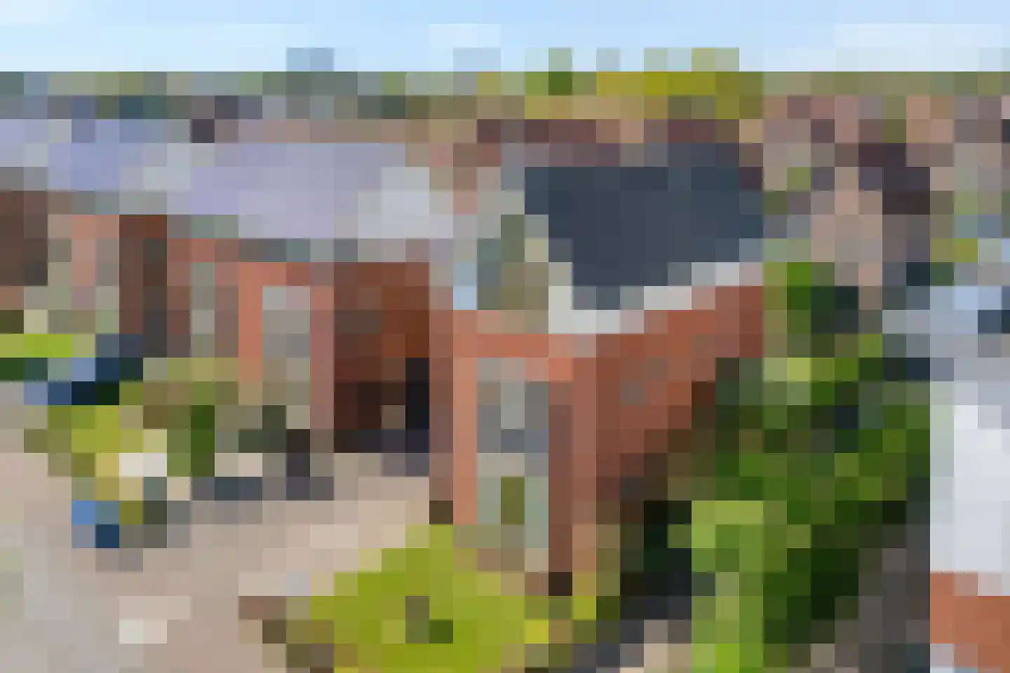 Frankhuizerallee 208 Zwolle thumbnail 7