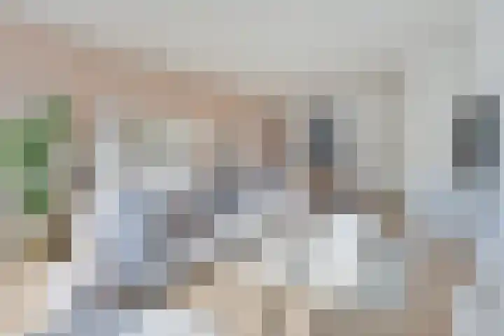 Frankhuizerallee 220 Zwolle thumbnail 10