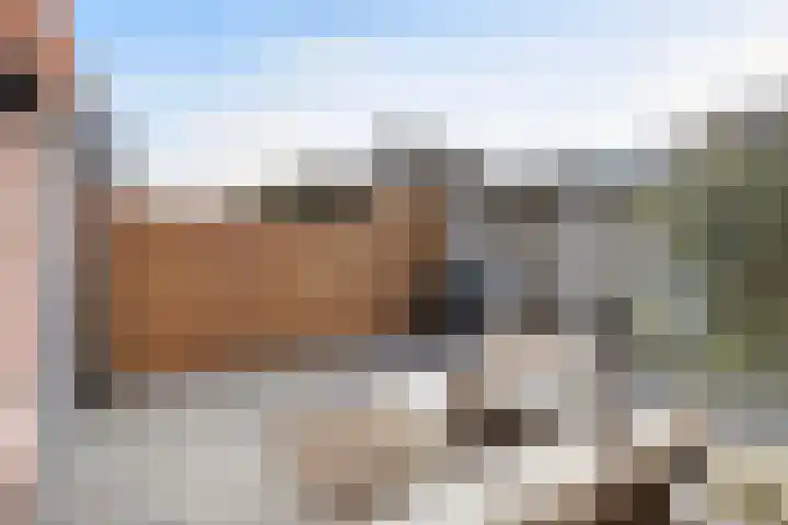 Frankhuizerallee 220 Zwolle thumbnail 14