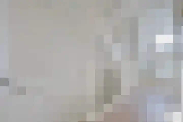 Frankhuizerallee 220 Zwolle thumbnail 23