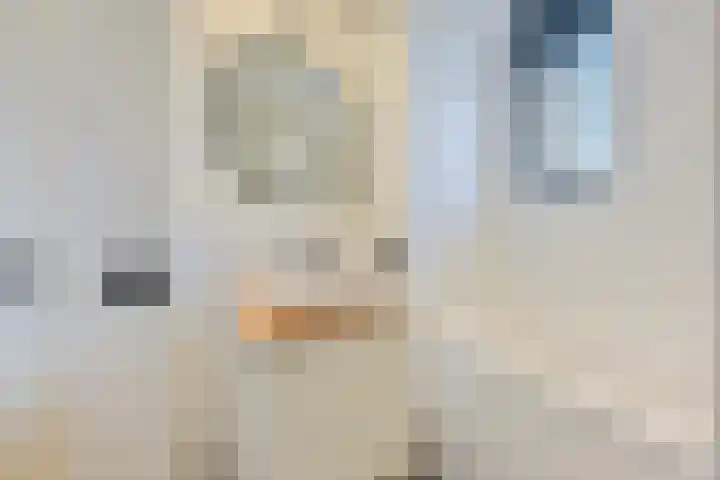 Frankhuizerallee 220 Zwolle thumbnail 31